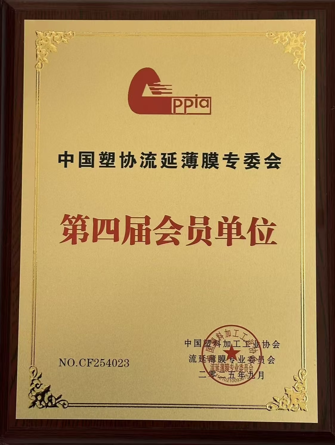 中国塑协流延薄膜专委会